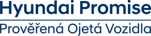 hyundai promise logo blue